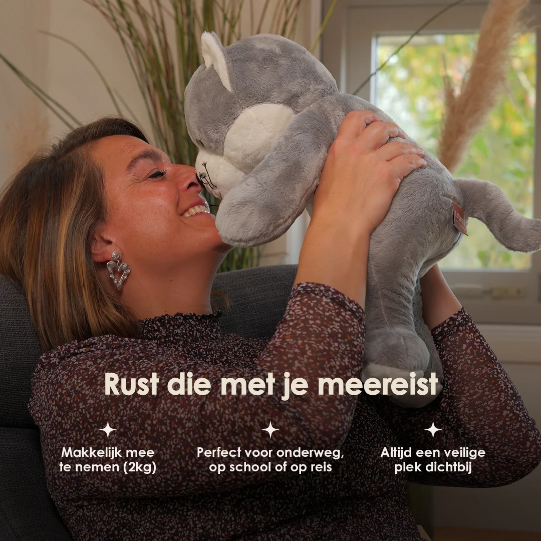Productafbeelding 14